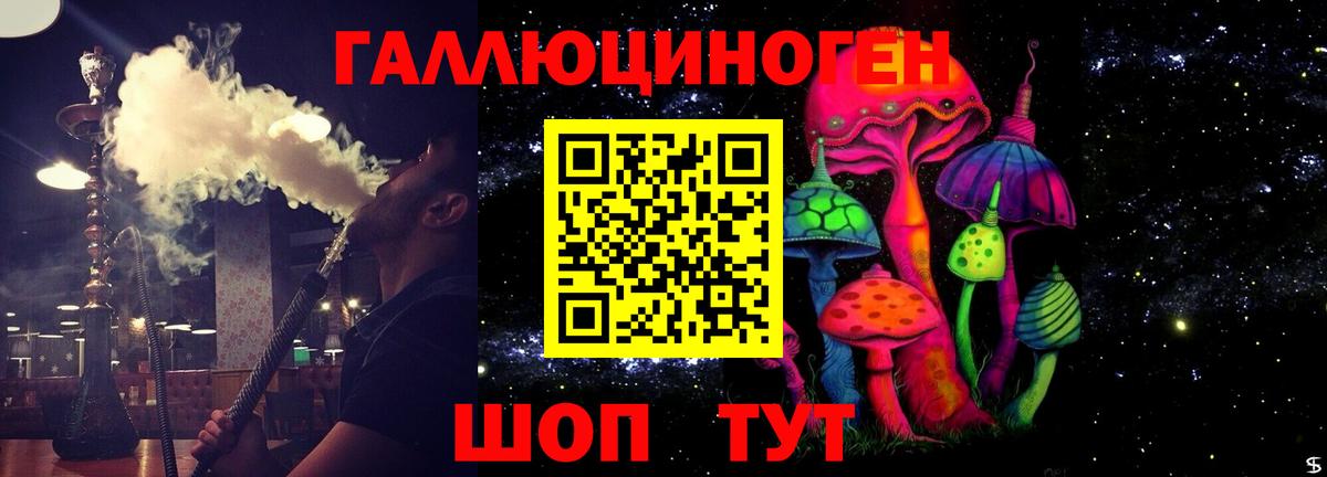 Псилоцибиновые грибы прущие грибы Анапа